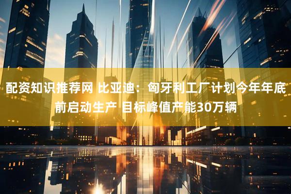 配资知识推荐网 比亚迪：匈牙利工厂计划今年年底前启动生产 目标峰值产能30万辆